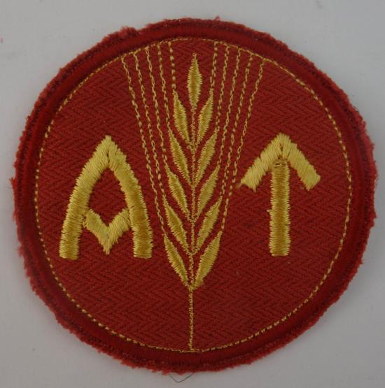 ww2 norwegian  reichsarbeitsdienst for a  woman insignia