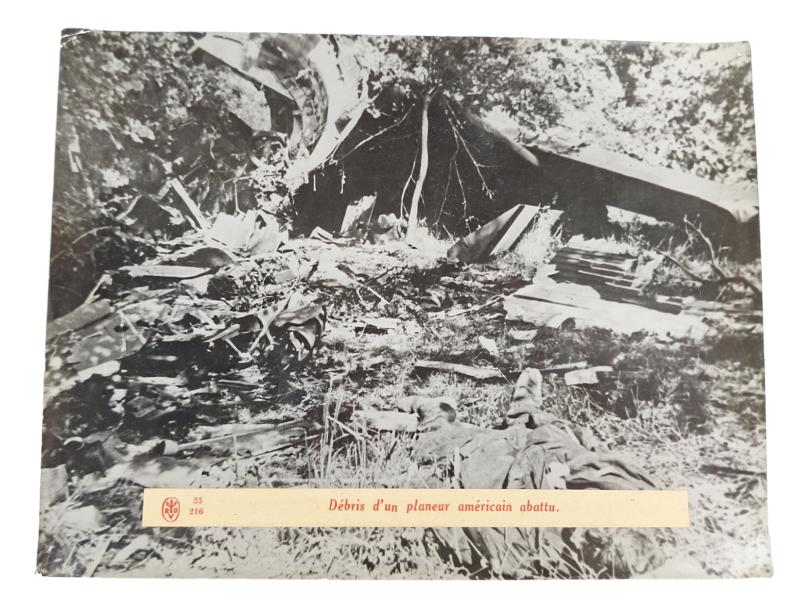 a photo of an american crashed glider plane