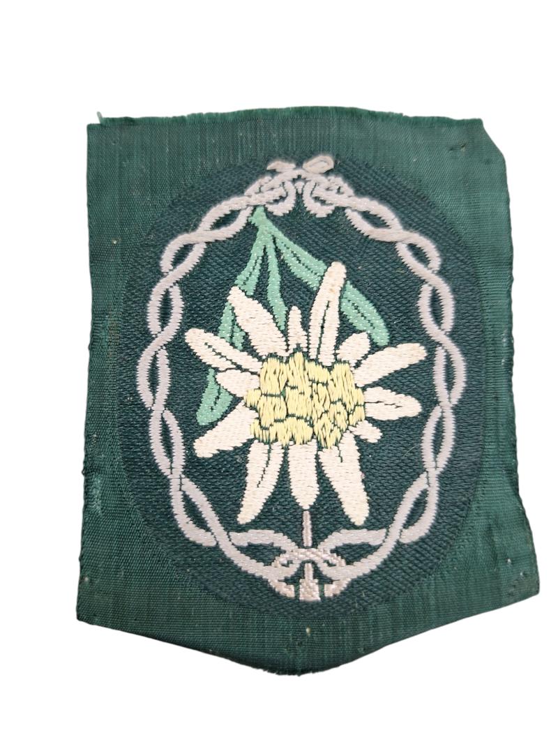 a Wehrmacht Gebirgsjäger Sleeve Edelweiss patch