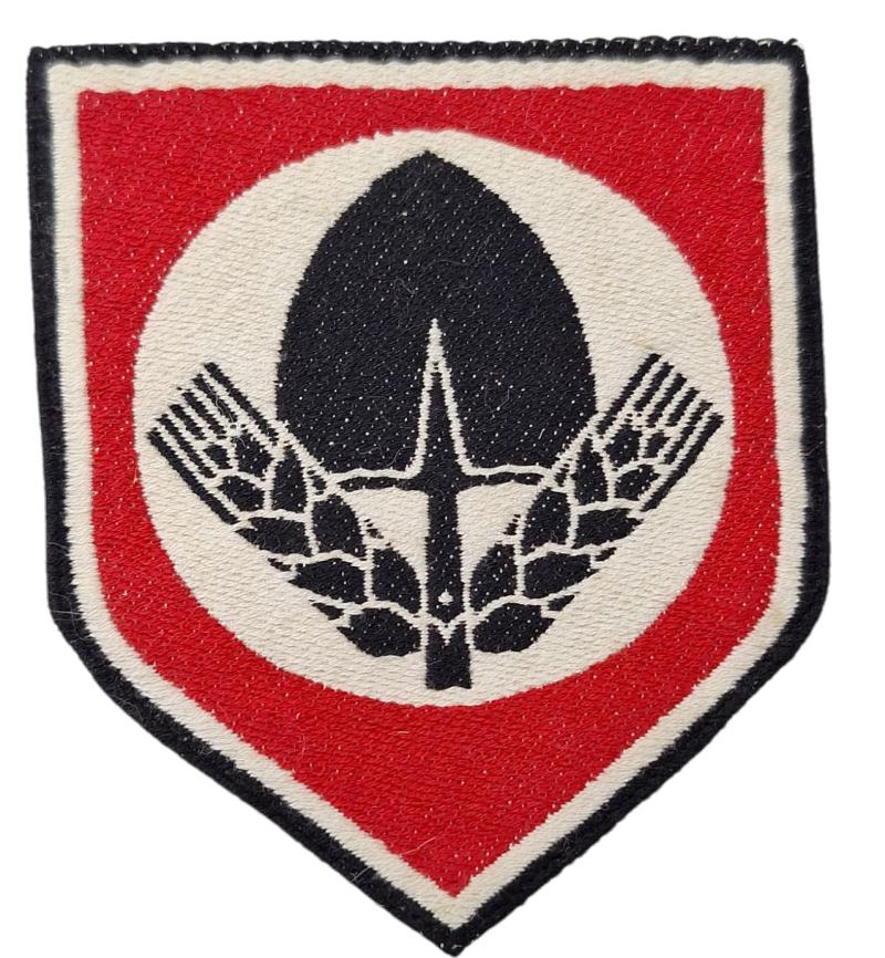 a  German RAD sport insignia  )