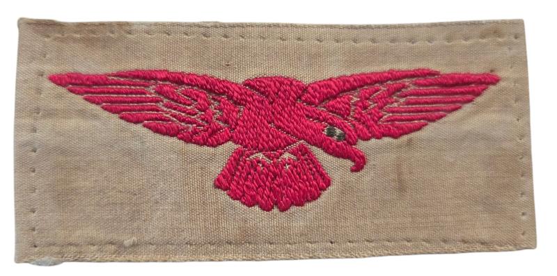 WW2 Royal Air Force Tropical Eagle
